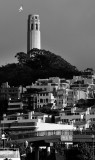 San Francisco 6.jpg