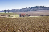 A view across farmland