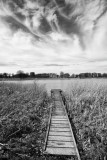 Blickling Lake