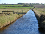 Salthouse Marsh