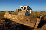 Old Sea Dog