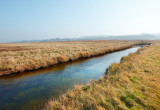 Salthouse Marsh