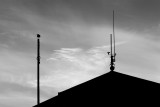 Bird on a Pole Mono