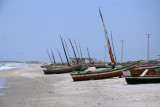 IMG_4715.JPG