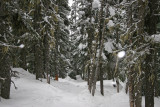 IMG_5065.JPG
