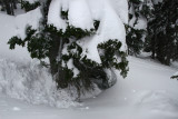IMG_5070.JPG