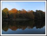 more reflections