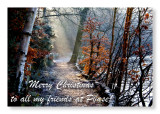 20 December -TITC: Christmas Card
