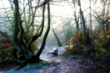 Quiet spot