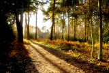 6 January - Quick trip to Keston