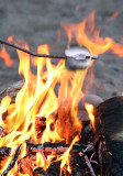 Toasted.jpg