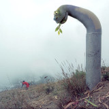 Pipesaurus.jpg