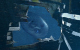 Peekaboo.jpg