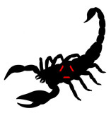 Predator.jpg