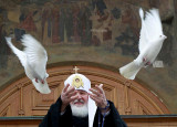 Dove-dealer-O.jpg