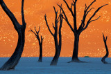 Namibias-Dead-Vlei-O.jpg
