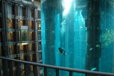 Aquadom-O.jpg