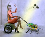 Pet-Bug.jpg