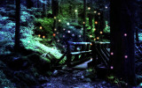 Fireflies.jpg