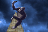 Kong.jpg