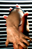 Grab.jpg