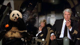 Panda-Plane.jpg