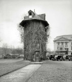 Arboreal-accomodations-O.jpg