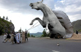 Wild-ride.jpg