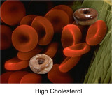 Blood-Donuts.jpg