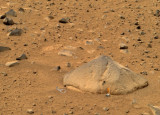 Pop-Top-Mars.jpg