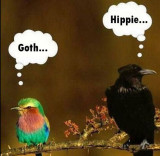 goth-and-hippie-birds.jpg