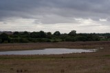 IMG_6303.jpg