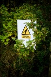 Danger in the undergrowth