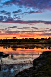 Wetland Sunset