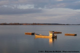 Evening view over the lake