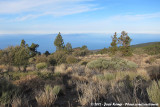 View from Montana de Las Lajas with La Gomera in the background