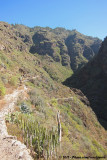 Scenic route into the Barranco