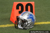 Detroit Lions helmet at the 30-yard line