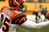 Cincinnati Bengals WR Chad Ochocinco