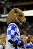 Kentucky Wildcats mascot