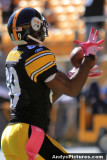 Pittsburgh Steelers WR Jerricho Cotchery