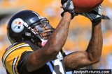 Pittsburgh Steelers WR Mike Wallace