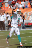 Miami Dolphins QB Matt Moore