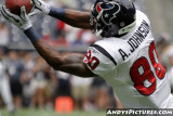 Houston Texans WR Andre Johnson