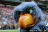 Seattle Seahawks mascot