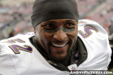 Baltimore Ravens LB Ray Lewis