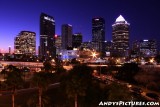 Tampa at Night