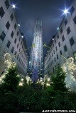 New York City Christmas at night