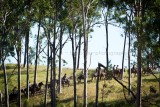 F05F3723.jpg