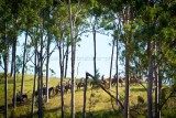 F05F3725.jpg